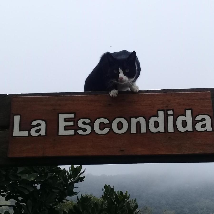 프라이아도로사 La Escondida 빌라 외부 사진